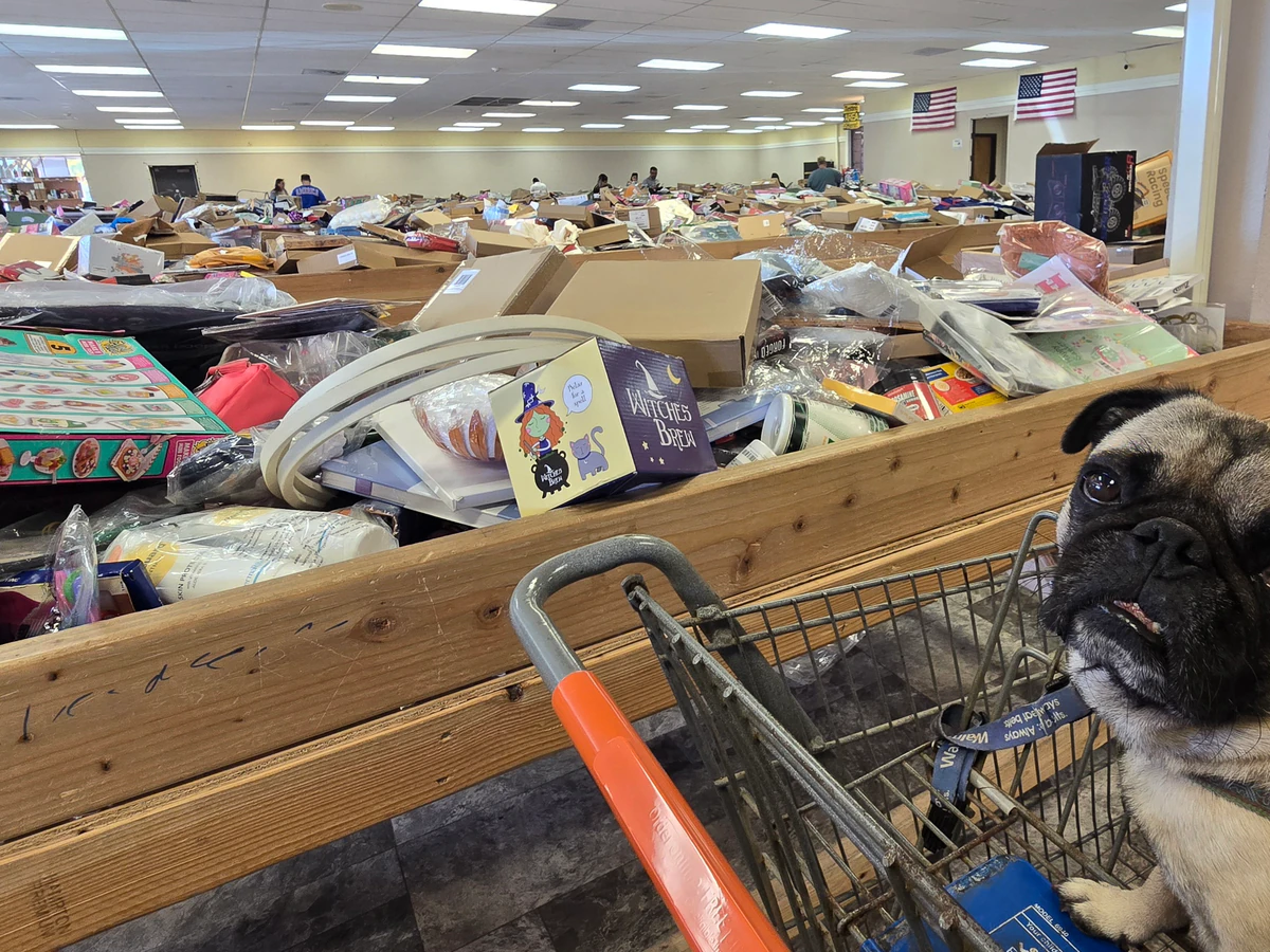 Super Sale Bin Store interior merchandise display - discount store in green valley, arizona.
